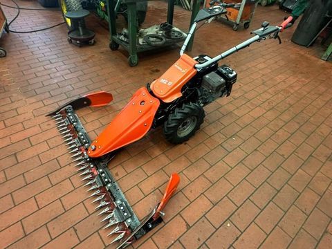 [3290-6496053-0.jpg]