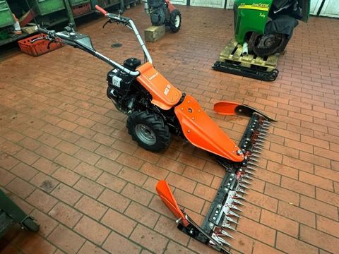 [3290-6496053-1.jpg]