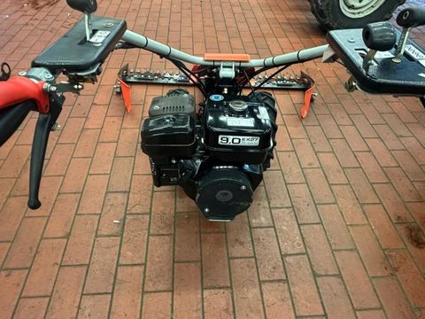 [3290-6496053-2.jpg]