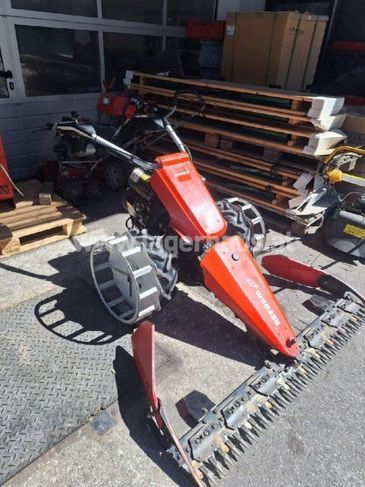 [3290-6496056-0_1.jpg]