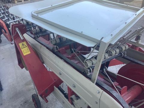 [3290-6496092-2.jpg]