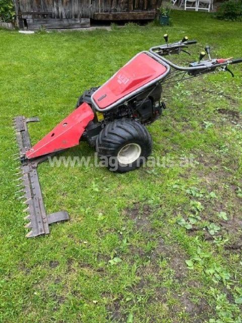 [3290-6875125-0.jpg]