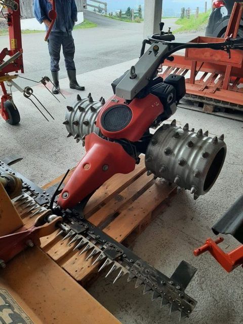 [3290-6887441-0.jpg]