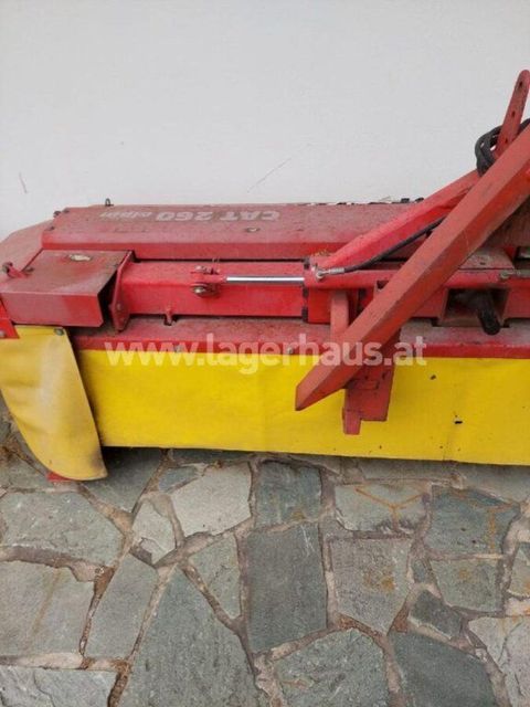 [3290-7316662-1.jpg]
