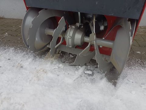 [3313-6754085-0.jpg]