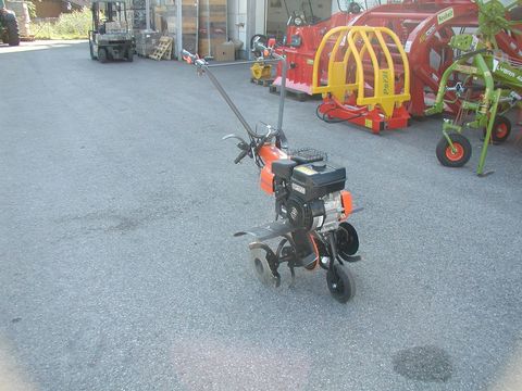 [3319-6364547-1.jpg]