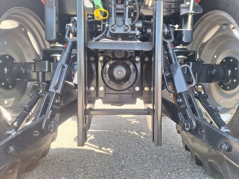 [3342-5015838-10.jpg]