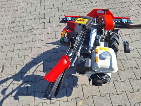 [3342-5238160-12.jpg]