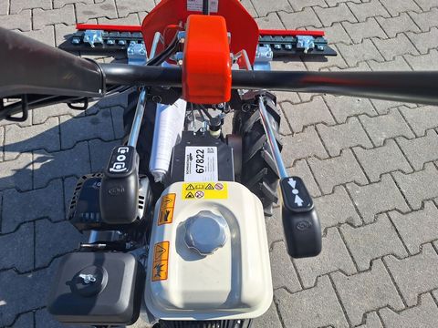 [3342-5238160-13.jpg]