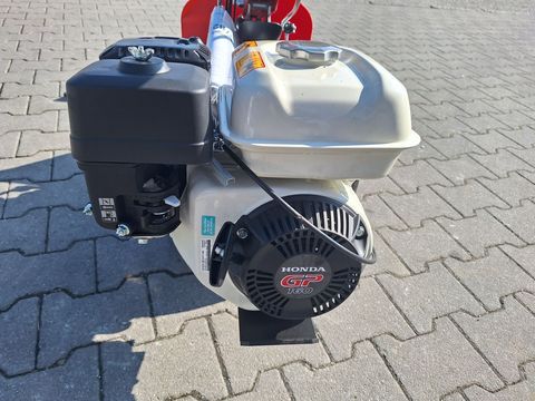 [3342-5238160-14.jpg]