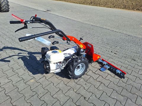 [3342-5238160-3.jpg]