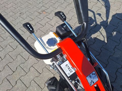 [3342-5238160-8.jpg]