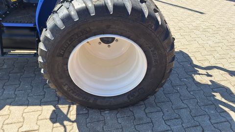 [3342-5286800-8.jpg]