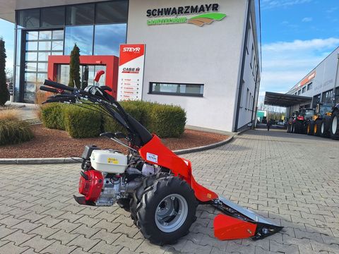 [3342-5287430-0.jpg]