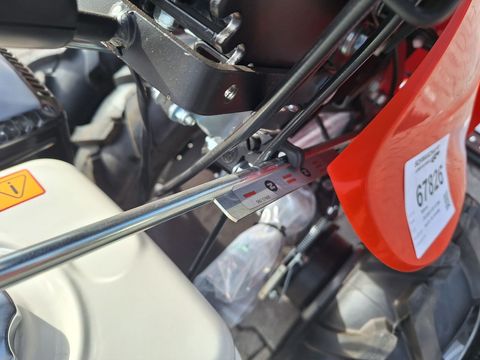 [3342-5287430-10.jpg]