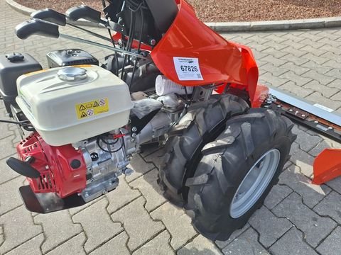 [3342-5287430-12.jpg]