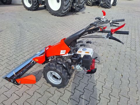 [3342-5287430-5.jpg]