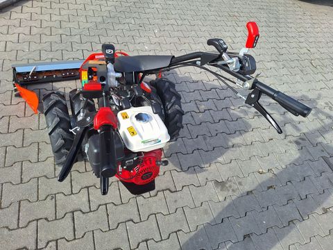 [3342-5287430-7.jpg]