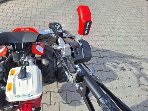 [3342-5287430-8.jpg]