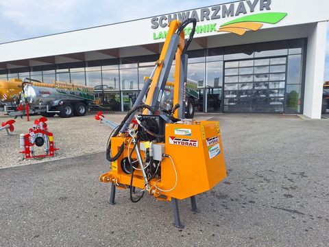 [3342-6197451-0.jpg]