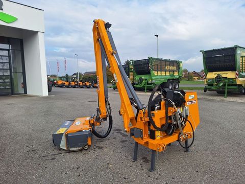 [3342-6197451-1.jpg]