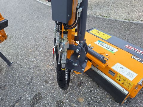 [3342-6197451-10.jpg]