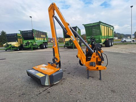 [3342-6197451-2.jpg]