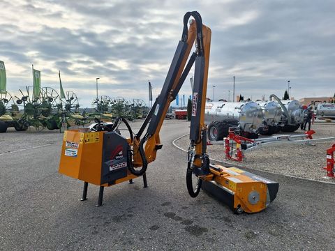 [3342-6197451-4.jpg]