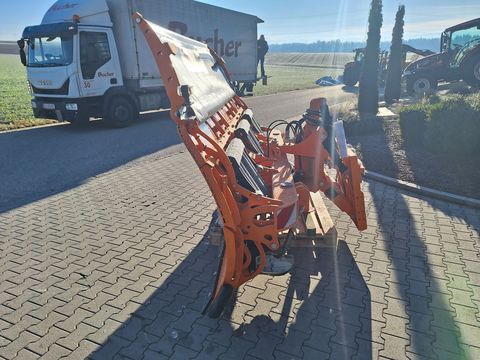 [3342-6197790-6.jpg]