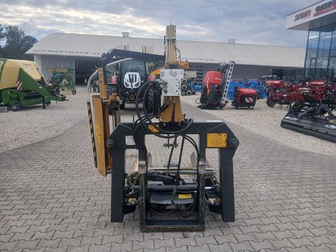 [3342-6216574-6.jpg]