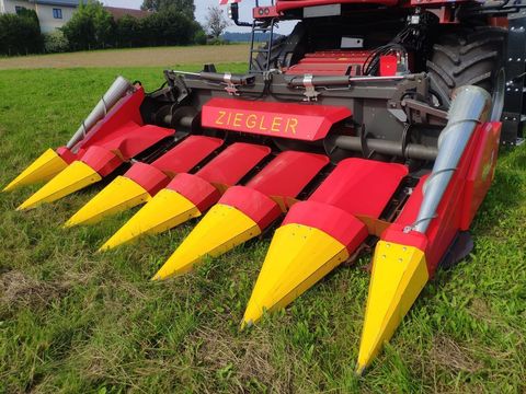 [3342-6255990-21.jpg]