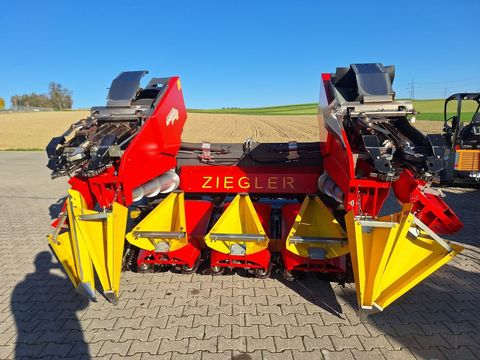 [3342-6293583-5.jpg]