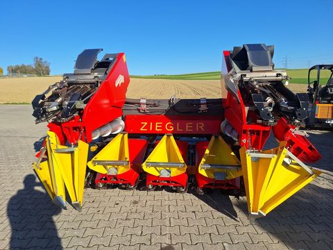 [3342-6293583-6.jpg]