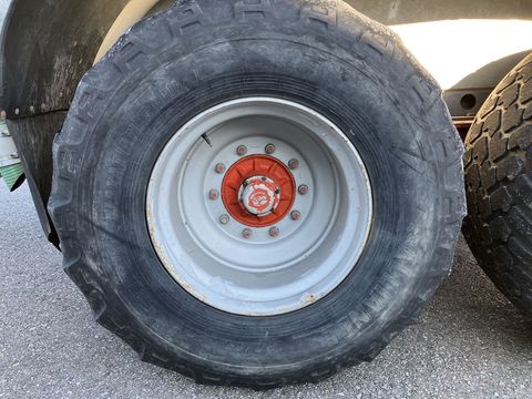 [3342-6325460-17.jpg]