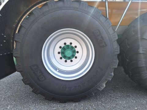 [3342-6347988-9.jpg]