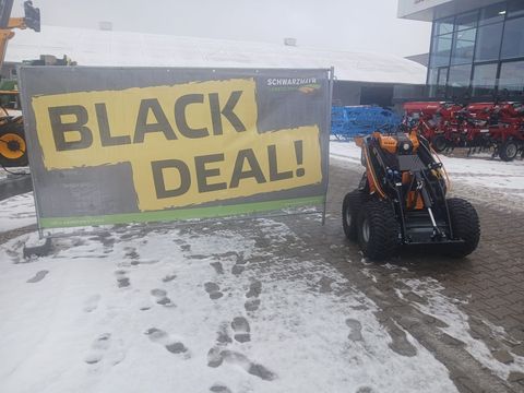 [3342-6386239-0.jpg]