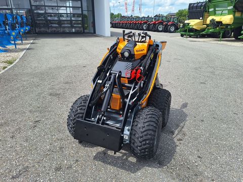 [3342-6386239-3.jpg]