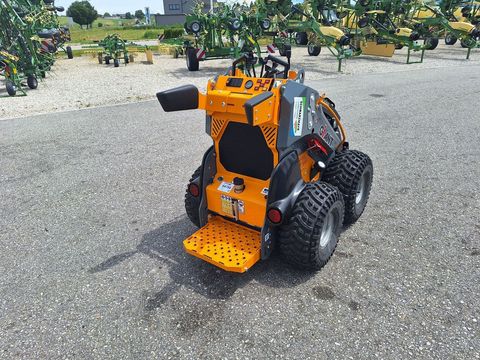 [3342-6386239-5.jpg]