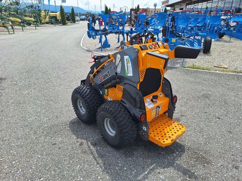 [3342-6386239-6.jpg]