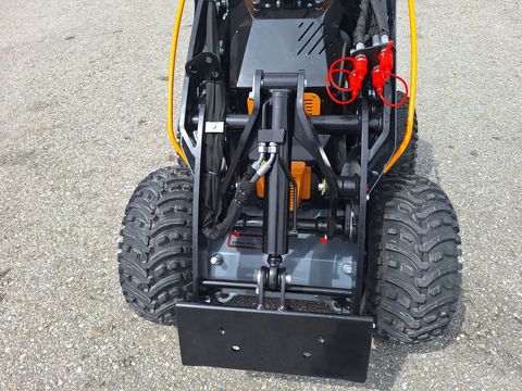 [3342-6386239-8.jpg]