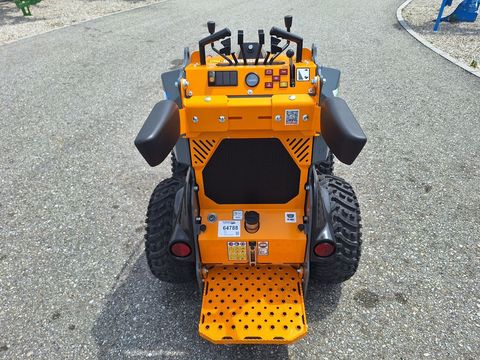 [3342-6386239-9.jpg]