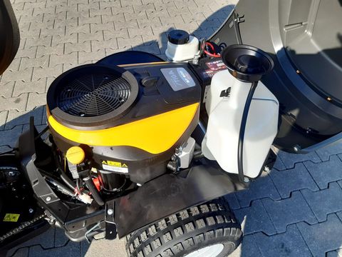 [3342-6535252-17.jpg]