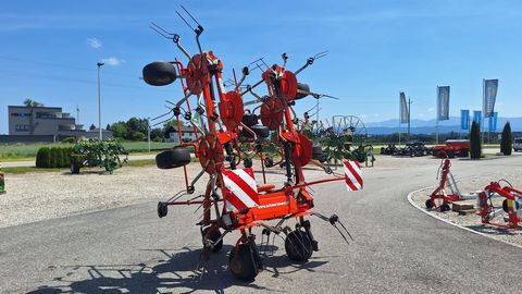 [3342-7107069-4.jpg]