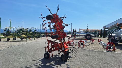 [3342-7107069-5.jpg]