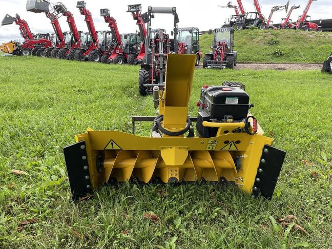 [3379-3278596-0_1.jpg]