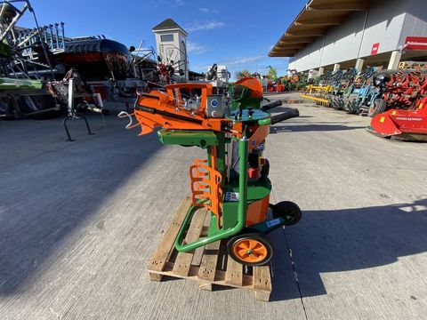 [3379-3905223-5.jpg]