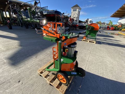 [3379-3905223-6.jpg]