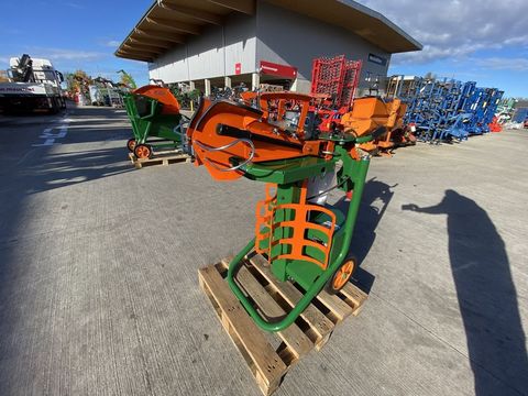 [3379-3905223-7.jpg]