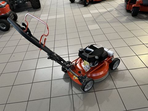 [3379-3999881-4.jpg]