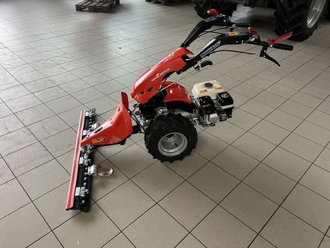 [3379-4052874-1.jpg]